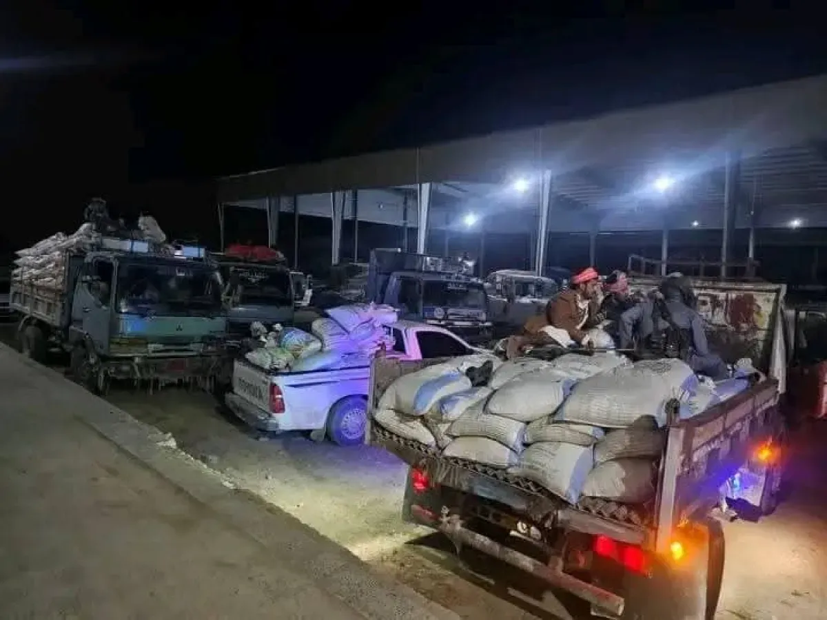 الحوثيون يمنعون مزارعو القمح من تسويق منتجاتهم ويجبرونهم على البيع بخسائر