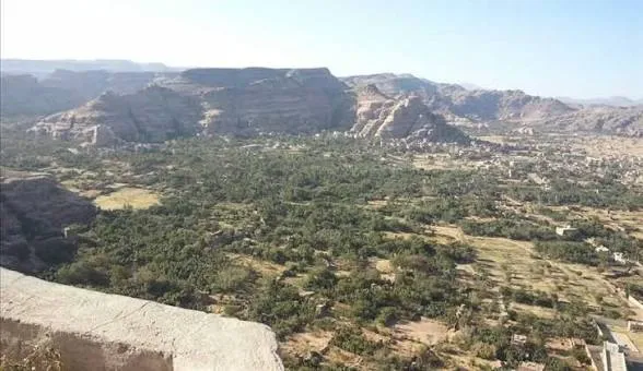 قيادات ونافذون حوثيون يستولون على أرض وقف في صنعاء