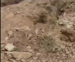 مقبرة أثرية تتعرض للنهب في ظفار التاريخية شمال شرق إب
