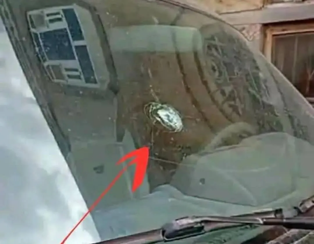 إصابة طفل في استهداف عصابات حوثية لمنازل المواطنين في إب