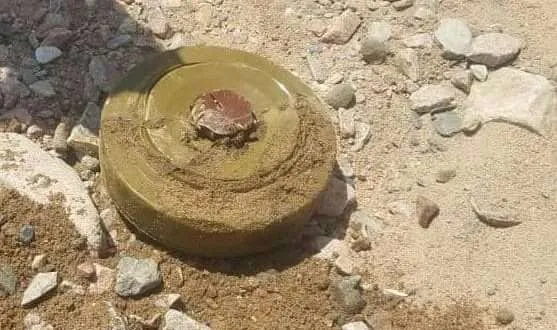 إصابة مواطن بانفجار لغم حوثي أثناء رعي الأغنام شمال شرق صنعاء